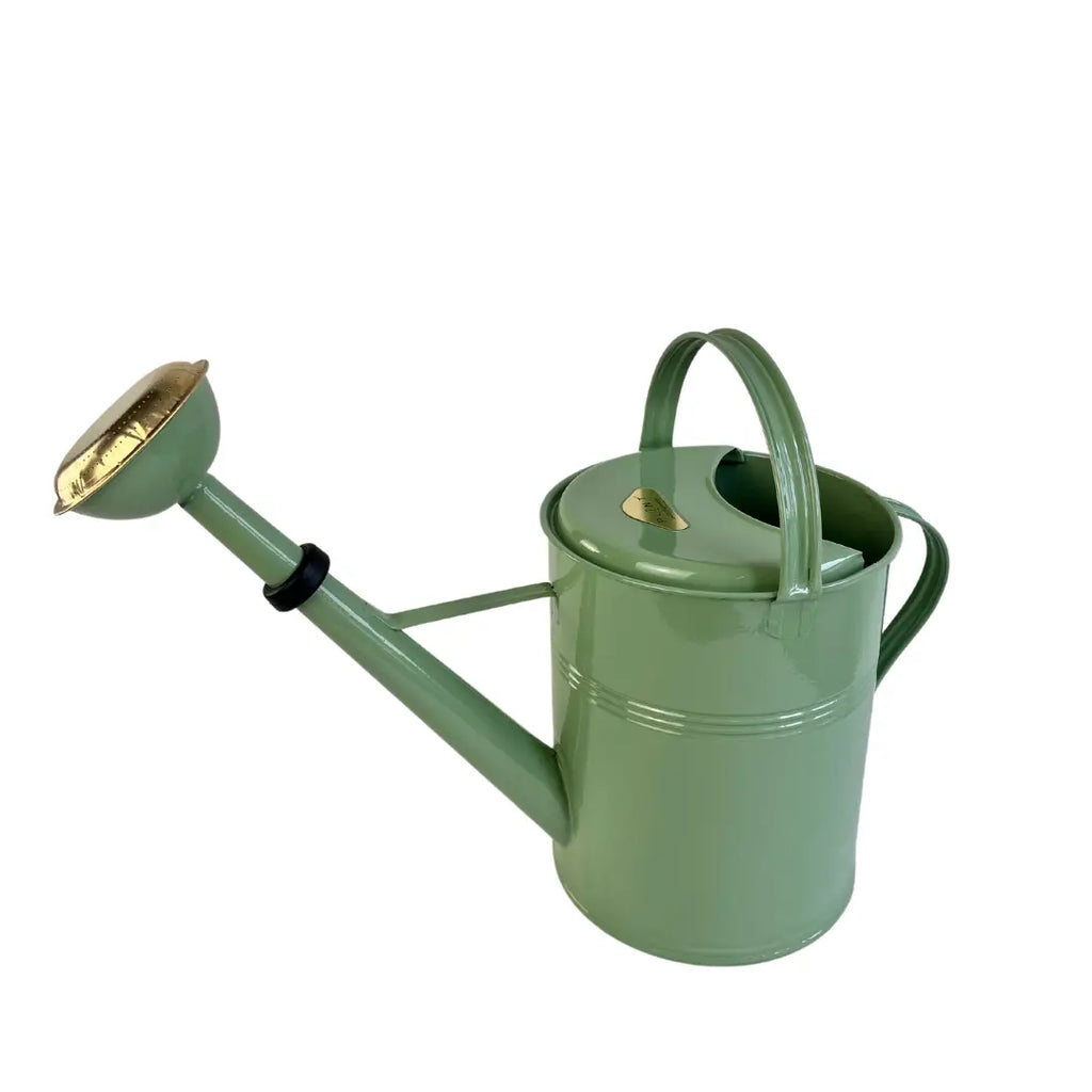Summer green galvanized watering can