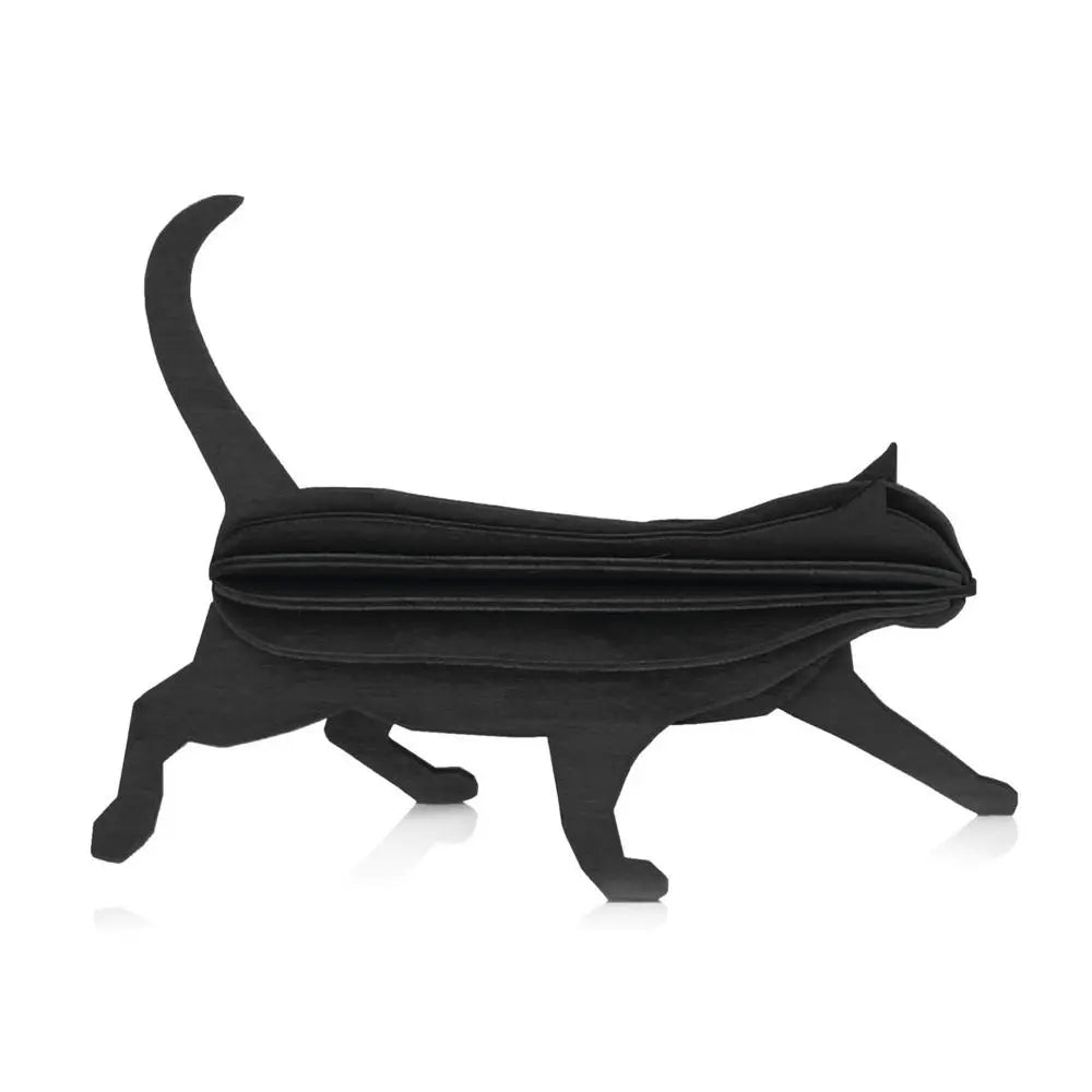 Lovi cat black