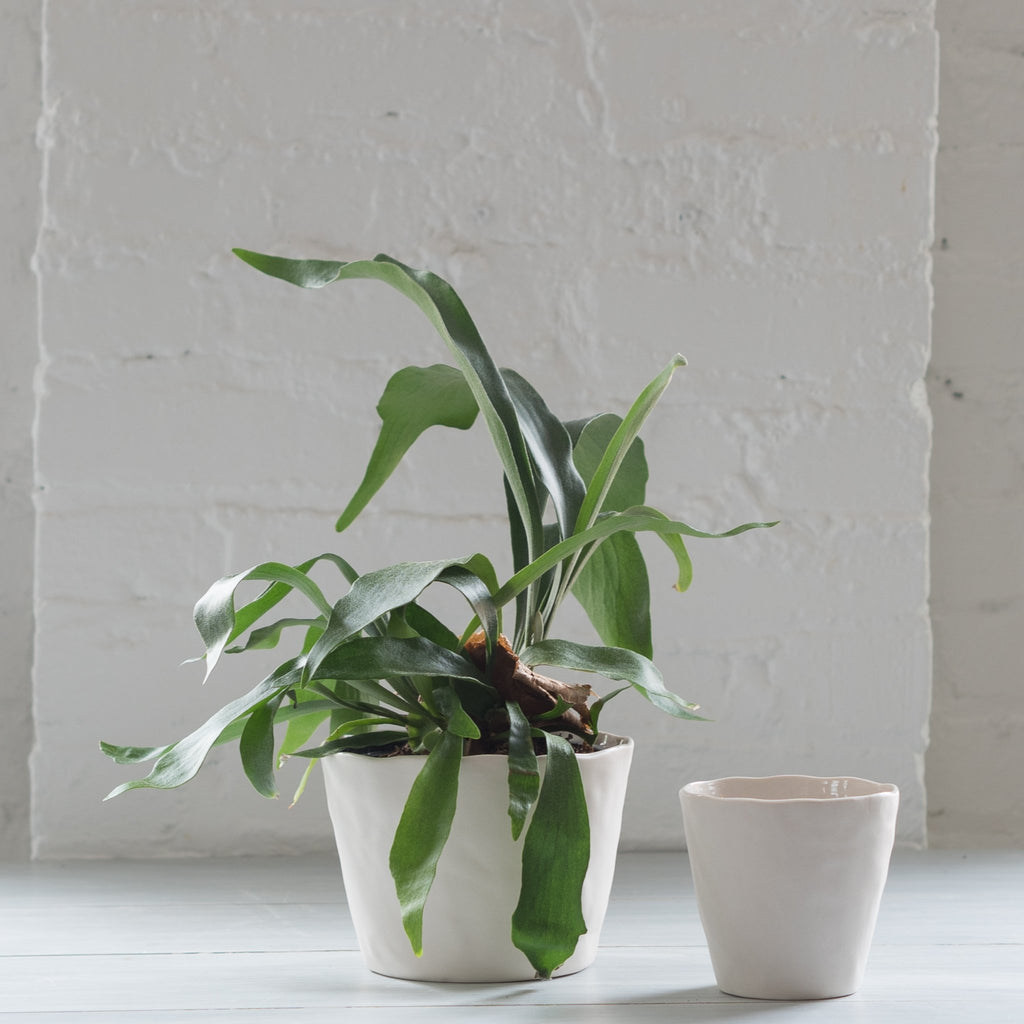 stoneware white planter - white planter - ceramic planter - planter - behome