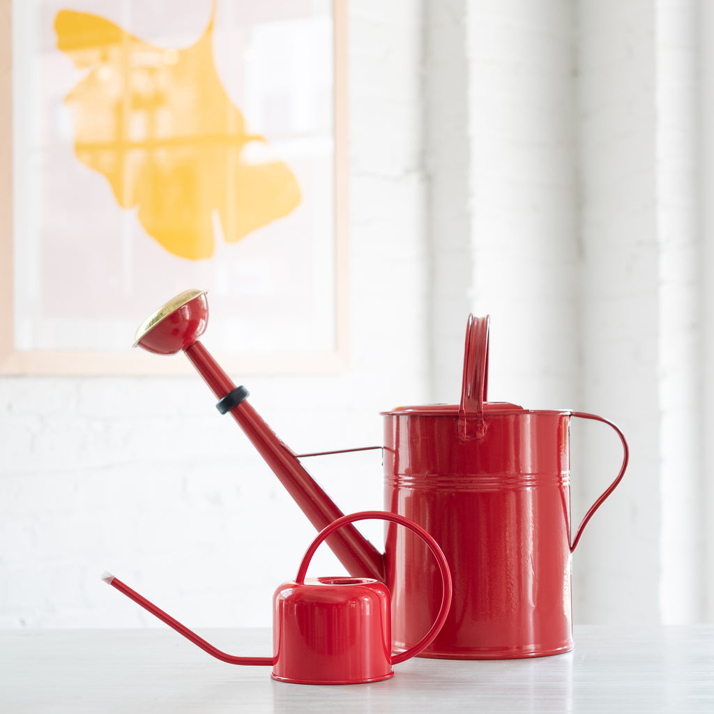 red galvanized watering cans