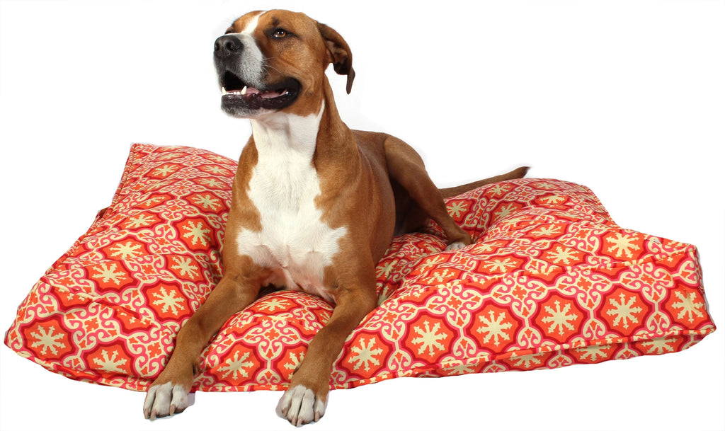 Dog sitting on a red patterned dog bed with a white background