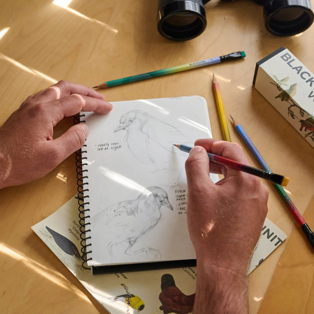 A person's hands sketching a bird in a spiral notebook on a wooden table, surrounded by colored pencils, binoculars, and a box of black walnut wood pencils.