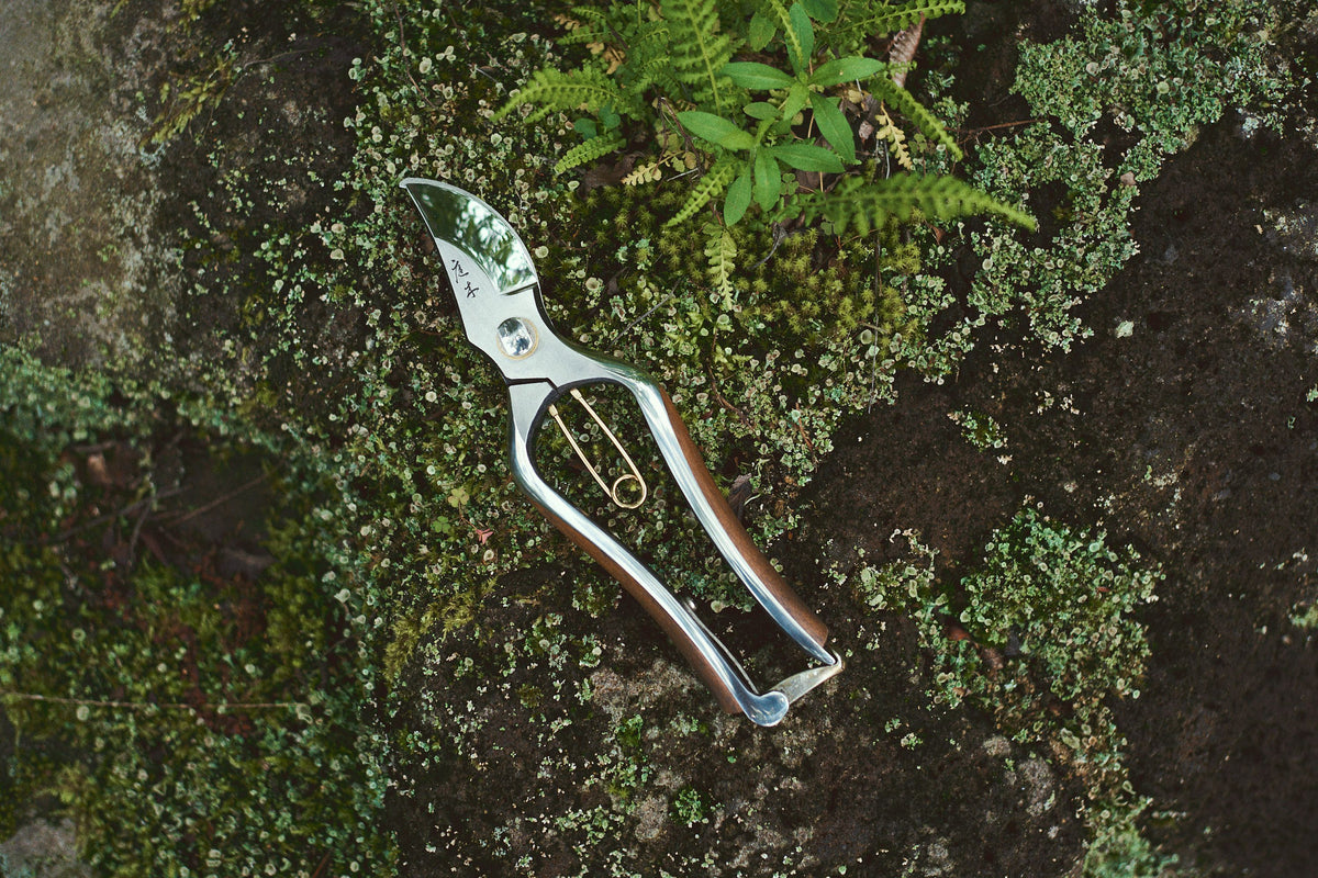 Kurumi Secateurs