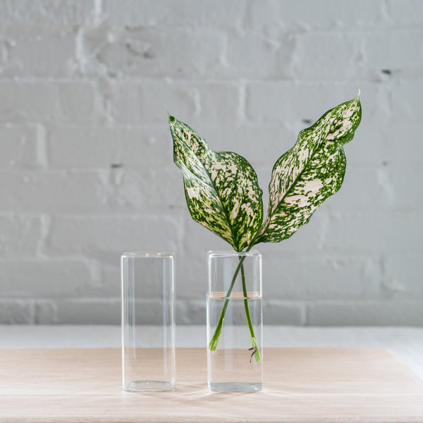 unique glass vase - flower vase - glass stem vase - glass vase 