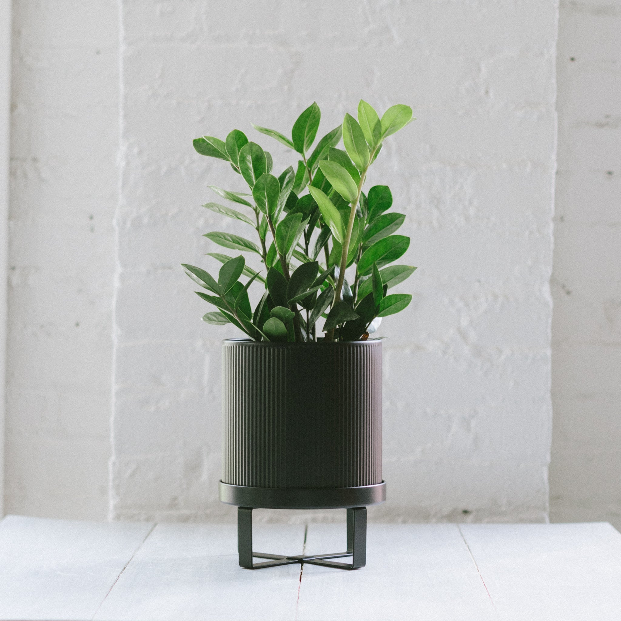 ferm LIVING Bau Flower Pot ブラック　　ACTUS Bau Flower Pot Large Ferm Living Black | Black | FERM LIVING
