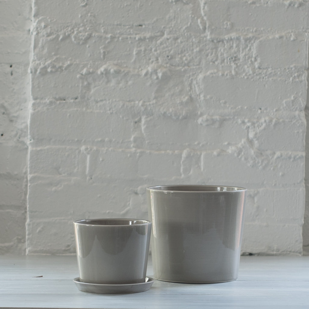 hay - botanical pot - botanical saucer - modern planter