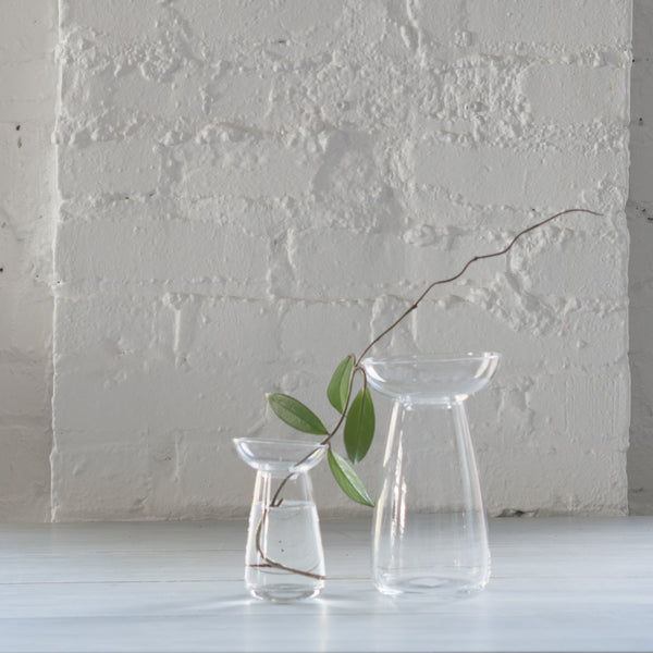 glass aqua culture vase - kinto - kinto use - kinto vase - plant propogater