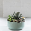 Turquoise planter - Turquoise dish - planter - wavy planter - dish garden