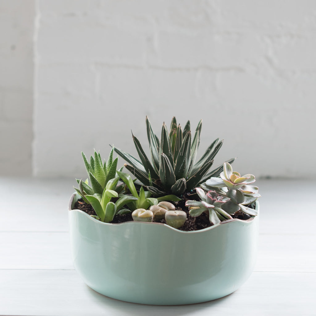 Turquoise planter - Turquoise dish - planter - wavy planter - dish garden