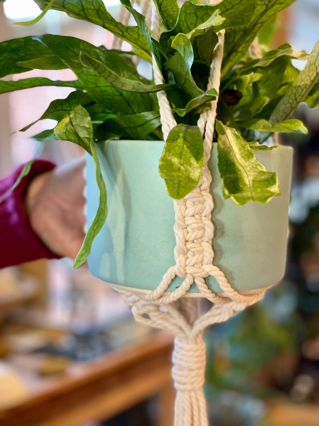 macrame plant hanger class Macrame Plant Hanger Class with MCB Designs - 03.16.22, 6:30 PM